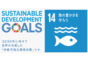 SDGs_14 海の豊かさを守ろう